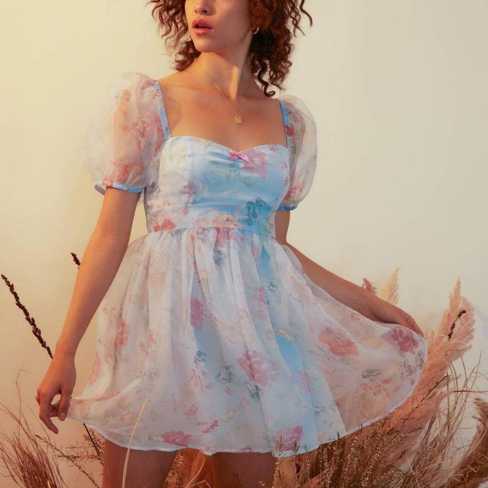 NWOT never worn Dolls Kill & Holly Hobby dress